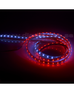 Flexistrip LED IP68 för utomhusbruk (24V, vattentät)